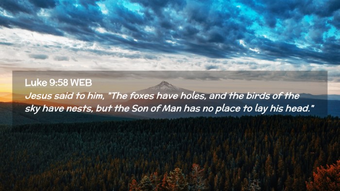 Picture 02 - Luke 9:58 WEB Desktop Wallpaper - Jesus said to him, 