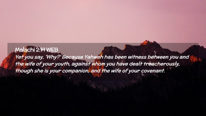 Picture 02 - Malachi 2:14 WEB Desktop Wallpaper - Yet you say, 'Why?' Because Yahweh has been - Desktop Bible Verse Wallpaper