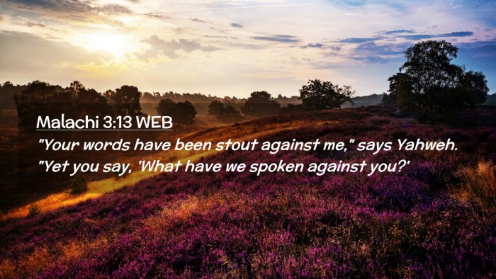 Picture 02 - Malachi 3:13 WEB Desktop Wallpaper - 