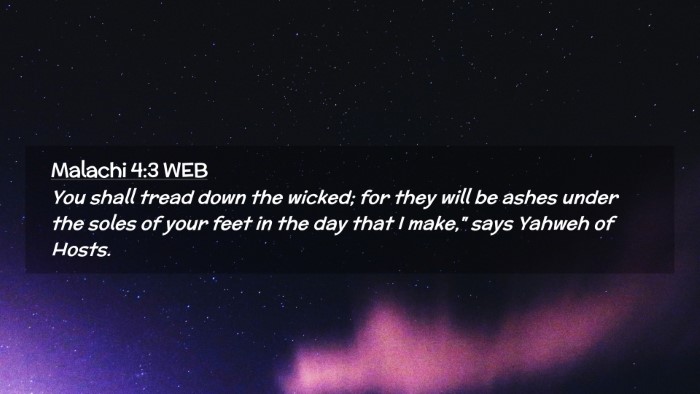 Picture 02 - Malachi 4:3 WEB Desktop Wallpaper - You shall tread down the wicked; for they will be - Desktop Bible Verse Wallpaper