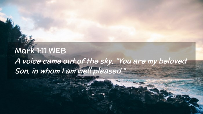Picture 02 - Mark 1:11 WEB Desktop Wallpaper - A voice came out of the sky, 