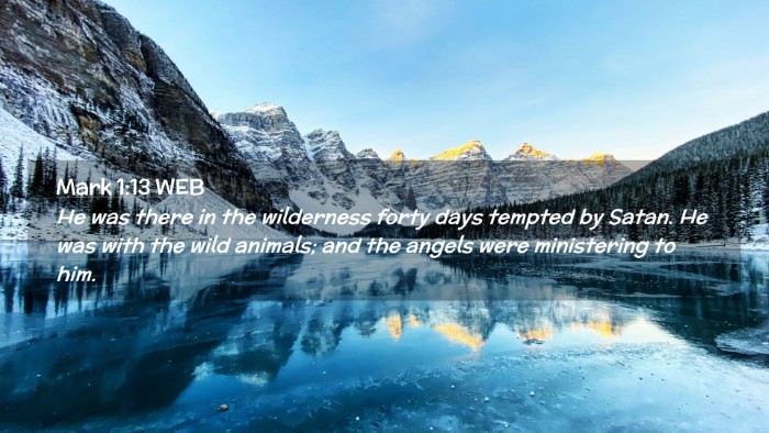 Picture 02 - Mark 1:13 WEB Desktop Wallpaper - He was there in the wilderness forty days tempted - Desktop Bible Verse Wallpaper
