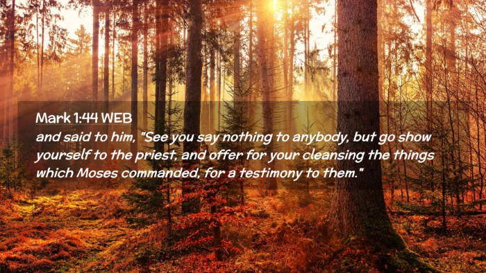 Picture 02 - Mark 1:44 WEB Desktop Wallpaper - and said to him, 