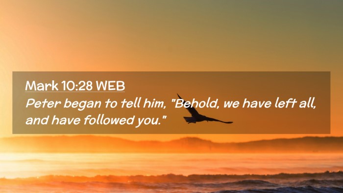 Picture 02 - Mark 10:28 WEB Desktop Wallpaper - Peter began to tell him, 