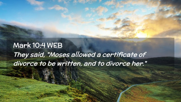 Picture 02 - Mark 10:4 WEB Desktop Wallpaper - They said, 