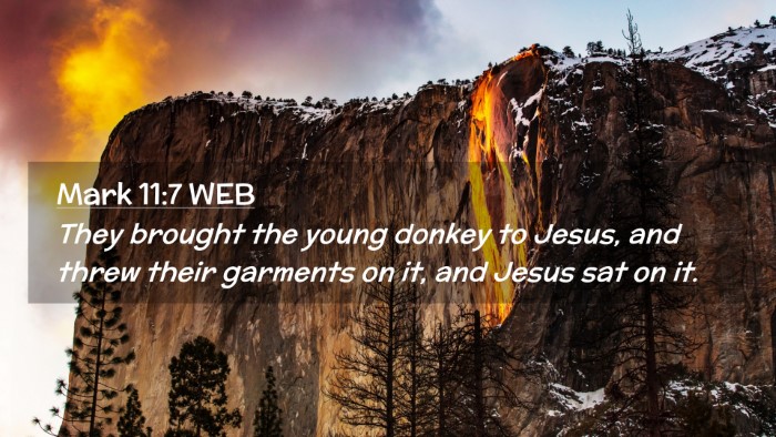 Picture 02 - Mark 11:7 WEB Desktop Wallpaper - They brought the young donkey to Jesus, and threw - Desktop Bible Verse Wallpaper