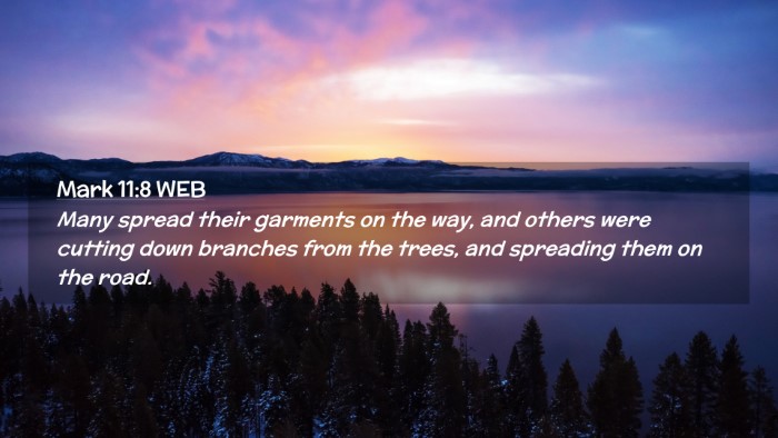 Picture 02 - Mark 11:8 WEB Desktop Wallpaper - Many spread their garments on the way, and others - Desktop Bible Verse Wallpaper