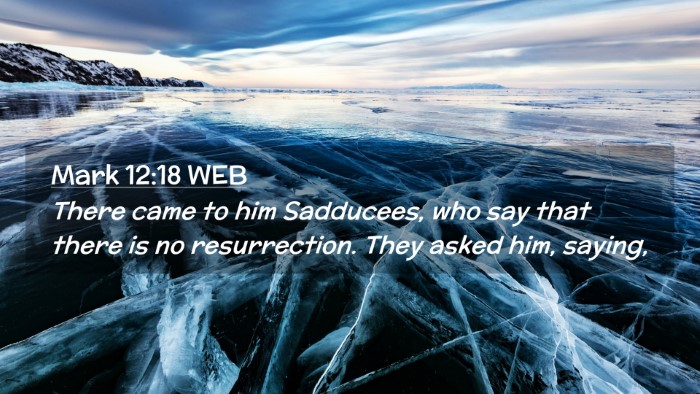 Picture 02 - Mark 12:18 WEB Desktop Wallpaper - There came to him Sadducees, who say that there - Desktop Bible Verse Wallpaper