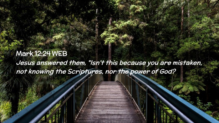 Picture 02 - Mark 12:24 WEB Desktop Wallpaper - Jesus answered them, 