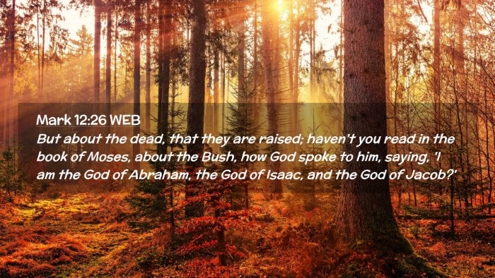 Picture 02 - Mark 12:26 WEB Desktop Wallpaper - But about the dead, that they are raised; haven't - Desktop Bible Verse Wallpaper