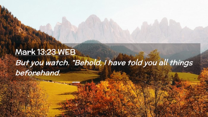 Picture 02 - Mark 13:23 WEB Desktop Wallpaper - But you watch. 