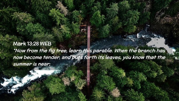 Picture 02 - Mark 13:28 WEB Desktop Wallpaper - 