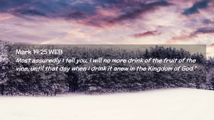 Picture 02 - Mark 14:25 WEB Desktop Wallpaper - Most assuredly I tell you, I will no more drink - Desktop Bible Verse Wallpaper