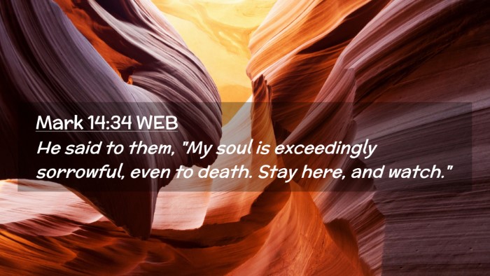 Picture 02 - Mark 14:34 WEB Desktop Wallpaper - He said to them, 