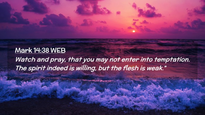 Picture 02 - Mark 14:38 WEB Desktop Wallpaper - Watch and pray, that you may not enter into - Desktop Bible Verse Wallpaper
