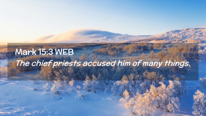 Picture 02 - Mark 15:3 WEB Desktop Wallpaper - The chief priests accused him of many - Desktop Bible Verse Wallpaper