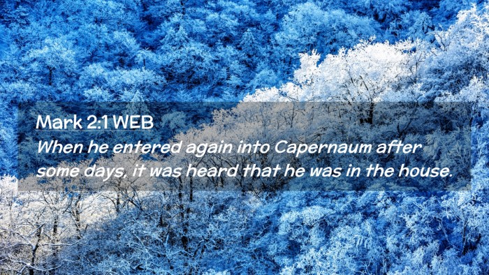 Picture 02 - Mark 2:1 WEB Desktop Wallpaper - When he entered again into Capernaum after some - Desktop Bible Verse Wallpaper