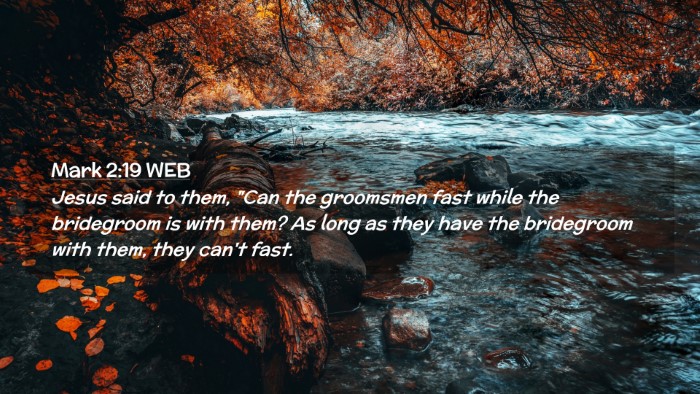 Picture 02 - Mark 2:19 WEB Desktop Wallpaper - Jesus said to them, 