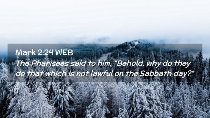 Picture 02 - Mark 2:24 WEB Desktop Wallpaper - The Pharisees said to him, 