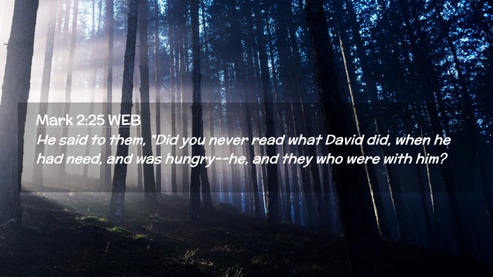Picture 02 - Mark 2:25 WEB Desktop Wallpaper - He said to them, 