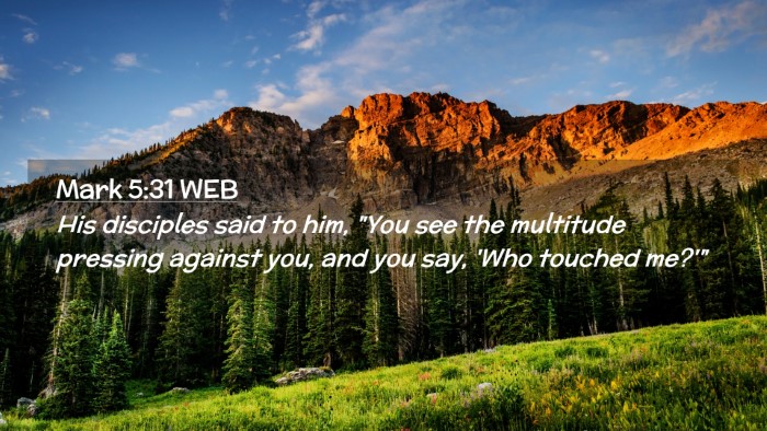 Picture 02 - Mark 5:31 WEB Desktop Wallpaper - His disciples said to him, 