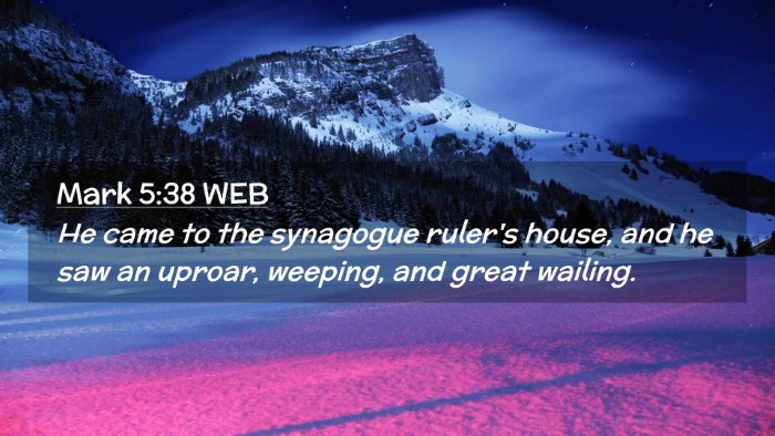 Picture 02 - Mark 5:38 WEB Desktop Wallpaper - He came to the synagogue ruler's house, and he - Desktop Bible Verse Wallpaper