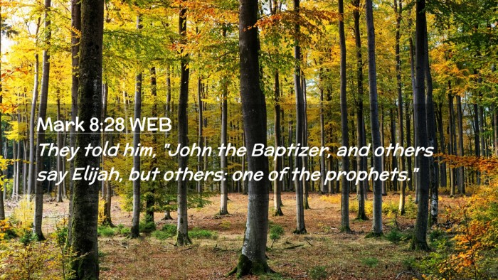 Picture 02 - Mark 8:28 WEB Desktop Wallpaper - They told him, 