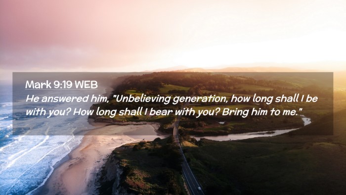 Picture 02 - Mark 9:19 WEB Desktop Wallpaper - He answered him, 