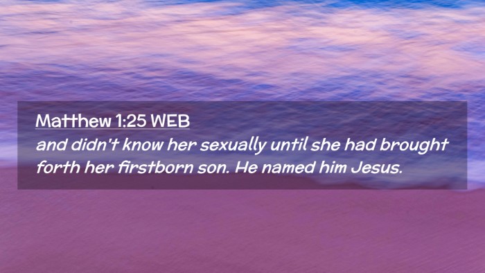 Picture 02 - Matthew 1:25 WEB Desktop Wallpaper - and didn't know her sexually until she had - Desktop Bible Verse Wallpaper