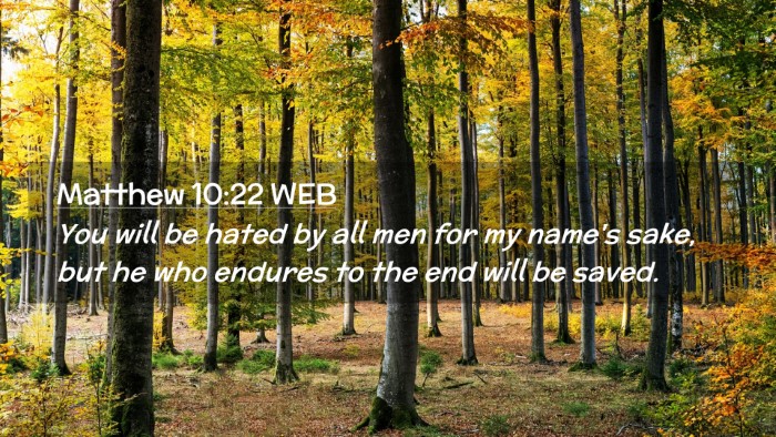 Picture 02 - Matthew 10:22 WEB Desktop Wallpaper - You will be hated by all men for my name's sake, - Desktop Bible Verse Wallpaper