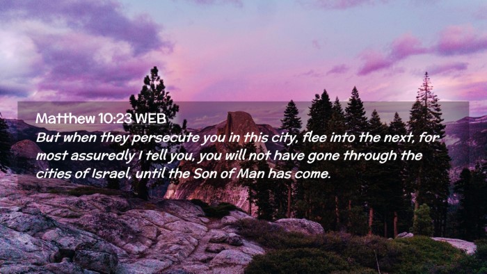 Picture 02 - Matthew 10:23 WEB Desktop Wallpaper - But when they persecute you in this city, flee - Desktop Bible Verse Wallpaper