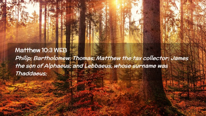 Picture 02 - Matthew 10:3 WEB Desktop Wallpaper - Philip; Bartholomew; Thomas; Matthew the tax - Desktop Bible Verse Wallpaper