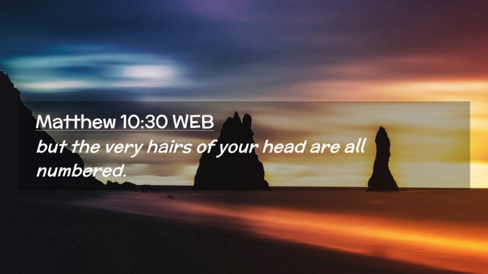 Picture 02 - Matthew 10:30 WEB Desktop Wallpaper - but the very hairs of your head are all - Desktop Bible Verse Wallpaper