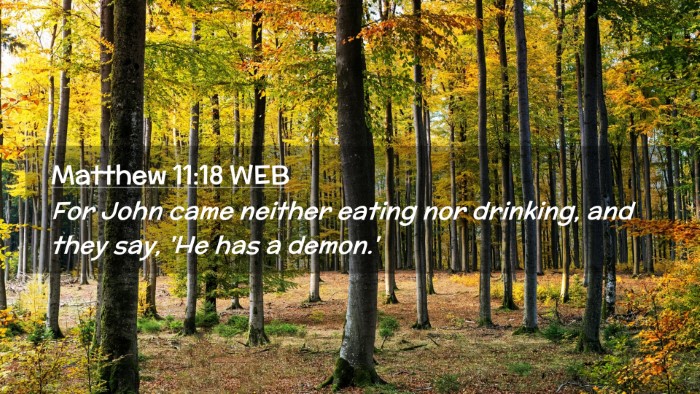 Picture 02 - Matthew 11:18 WEB Desktop Wallpaper - For John came neither eating nor drinking, and - Desktop Bible Verse Wallpaper
