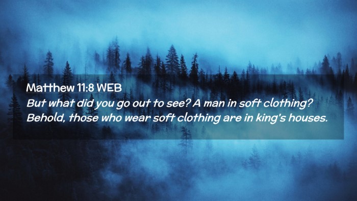 Picture 02 - Matthew 11:8 WEB Desktop Wallpaper - But what did you go out to see? A man in soft - Desktop Bible Verse Wallpaper