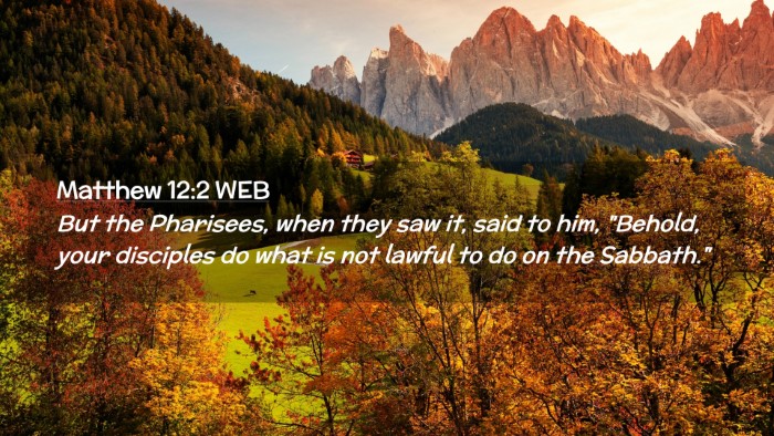 Picture 02 - Matthew 12:2 WEB Desktop Wallpaper - But the Pharisees, when they saw it, said to him, - Desktop Bible Verse Wallpaper