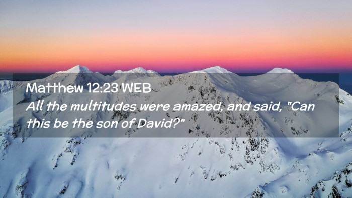 Picture 02 - Matthew 12:23 WEB Desktop Wallpaper - All the multitudes were amazed, and said, 