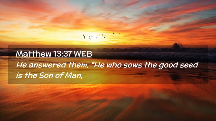 Picture 02 - Matthew 13:37 WEB Desktop Wallpaper - He answered them, 