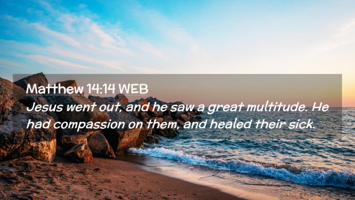 Picture 02 - Matthew 14:14 WEB Desktop Wallpaper - Jesus went out, and he saw a great multitude. He - Desktop Bible Verse Wallpaper