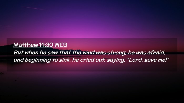 Picture 02 - Matthew 14:30 WEB Desktop Wallpaper - But when he saw that the wind was strong, he was - Desktop Bible Verse Wallpaper