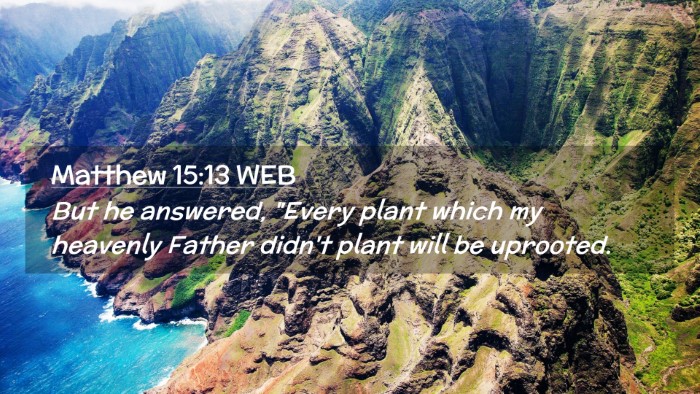 Picture 02 - Matthew 15:13 WEB Desktop Wallpaper - But he answered, 