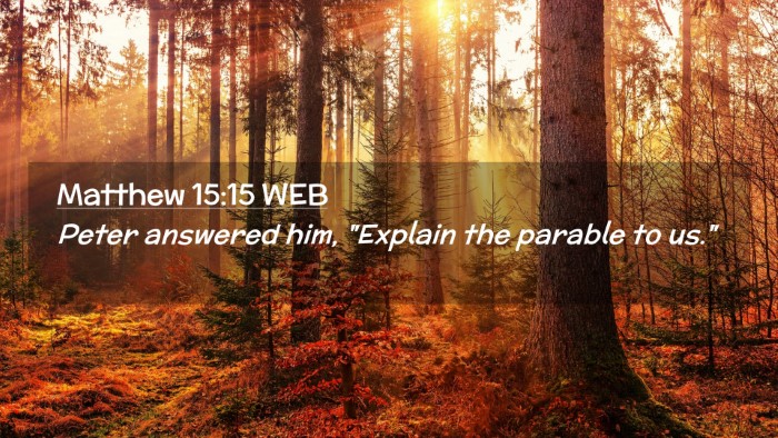 Picture 02 - Matthew 15:15 WEB Desktop Wallpaper - Peter answered him, 