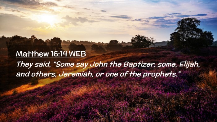 Picture 02 - Matthew 16:14 WEB Desktop Wallpaper - They said, 