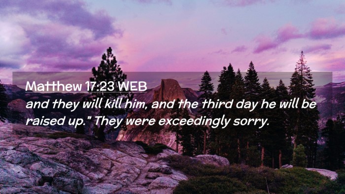 Picture 02 - Matthew 17:23 WEB Desktop Wallpaper - and they will kill him, and the third day he will - Desktop Bible Verse Wallpaper