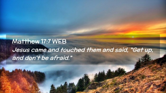 Picture 02 - Matthew 17:7 WEB Desktop Wallpaper - Jesus came and touched them and said, 