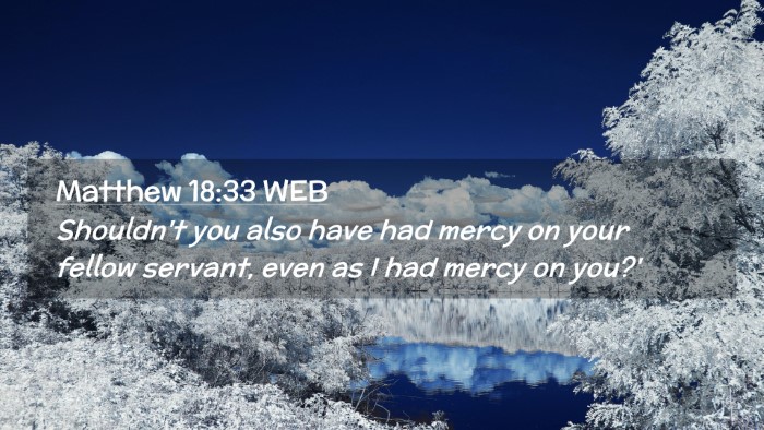 Picture 02 - Matthew 18:33 WEB Desktop Wallpaper - Shouldn't you also have had mercy on your fellow - Desktop Bible Verse Wallpaper