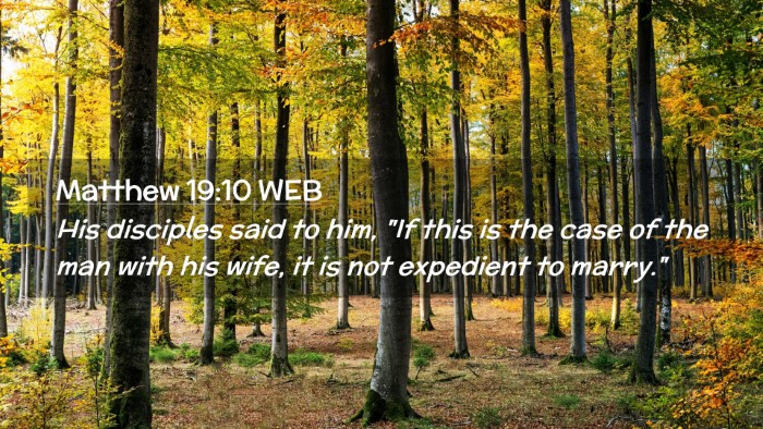 Picture 02 - Matthew 19:10 WEB Desktop Wallpaper - His disciples said to him, 