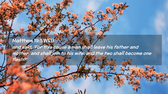 Picture 02 - Matthew 19:5 WEB Desktop Wallpaper - and said, 'For this cause a man shall leave his - Desktop Bible Verse Wallpaper