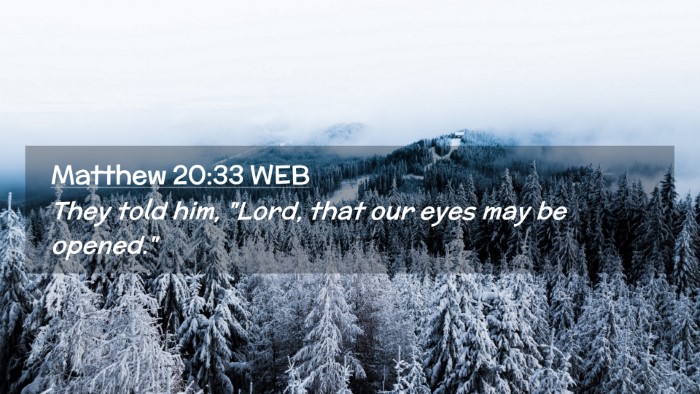 Picture 02 - Matthew 20:33 WEB Desktop Wallpaper - They told him, 