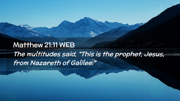 Picture 02 - Matthew 21:11 WEB Desktop Wallpaper - The multitudes said, 